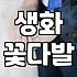 안개꽃 가격 결정 기준과 신선도 유지하는 법