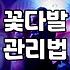 특별한 날 건네는 꽃다발, 실패 없이 준비하는 실전 팁