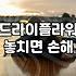 안개꽃 관리법과 오랫동안 형태를 유지하는 보관 방법