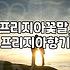 프리지아 꽃, 그 향기로운 매력과 실용적인 정보