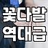 실패 없는 졸업식꽃 선택을 위한 현실적인 조언