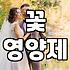 해바라기꽃다발 선물할 때 실패하지 않는 전문가의 실전 조언