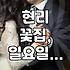 현리에서 일요일에도 문 여는 꽃집, 서양란과 동양란 선물 알아보기
