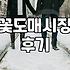 꽃 시장을 다녀와 보니, 예쁜 쓰레기라는 말이 왜 나왔는지 알겠더라