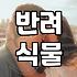 봉담화원 이용하기 전 알아야 할 식물 관리와 구매 전략