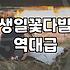 꽃다발종류 선택할 때 알아야 할 실속 있는 기준과 특징