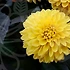 한식조리사로의 첫걸음, 당신도 할 수 있어요!