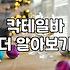 여의도나 강남에서 분위기 좋은 술집을 찾으며 느낀 현실적인 고민들