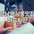 강남에서 스테이크와 파스타가 생각날 때 가볼 만한 곳들