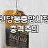 신당동술집 지역별 분위기와 예산 절감하는 실질적 팁