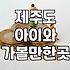 날씨 상관없이 아이와 함께하는 제주 실내 체험지 활용법