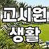 여름 한 철 머물기로 했던 고시텔이 묘하게 불편했다