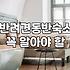 반려견과 함께하는 숙소, 현실과 기대 사이의 간극에 대하여