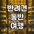 강원도 반려견 동반 숙소 찾을 때 미리 체크해야 할 현실적인 부분들
