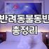 애견모텔 선택 시 반드시 확인해야 할 현실적인 주의사항과 체크리스트