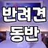 공주애견동반숙소 선택할 때 반드시 확인해야 할 실전 체크리스트
