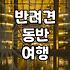 애견동반파티룸 예약 전 확인해야 할 필수 이용 수칙
