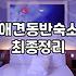 애견모텔 선택 시 반드시 확인해야 할 시설 기준과 이용 요금
