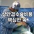 압구정역 근처에서 상담만 세 군데 돌고 지친 날