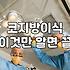 기능과 미용 사이의 고민, 코병원 선택 시 마주하는 현실적인 타협점들