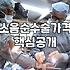 소음순 수술 비용과 결정 전 고려해야 할 현실적인 부분들