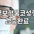 매부리코 때문에 강남 성형외과를 다 돌고 온 날