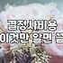 자연스러운 만남부터 결혼정보회사 비용까지 비교해 본 이성을 만나는 현실적인 방법들