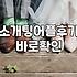 주말마다 소개팅 어플이나 들여다보는 게 일상이 됐다