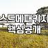 다이렉트결혼박람회 방문 전 알아야 할 현실적인 선택 기준