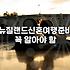 뉴질랜드 신혼여행, 패키지 알아보다가 그냥 우리끼리 갔어요