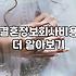 결혼정보회사 가입 전에 따져봐야 할 비용 구조와 매칭의 현실적인 한계