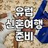 스위스 이탈리아 신혼여행 현실적인 준비 과정과 경비 체감