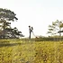 예쁜 종이청첩장으로 기억에 남는 결혼식 만들기!