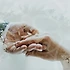 결혼의 모든 것: 맞선사이트와 최신 트렌드 살펴보기💍✨
