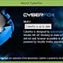 [포터블] 파이어폭스 변형 Cyberfox 설치하기