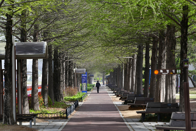 대전 한밭수목원(20230412)