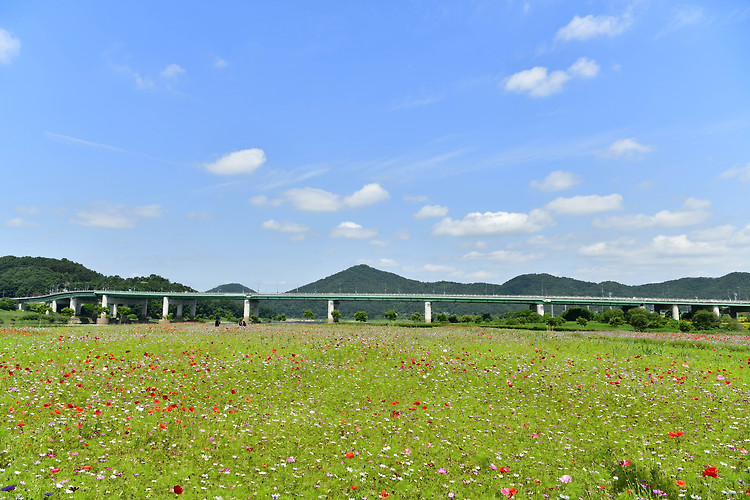 공주 미르섬_2(20230606)