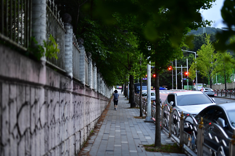 대전 동네 골목길(20230608)