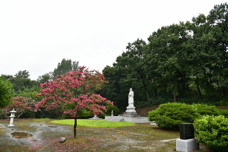 논산 노성궐리사(20220724)