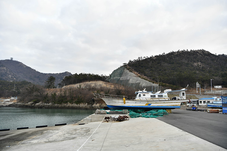 군산 신시도 갯벌 체험마을(20250119)