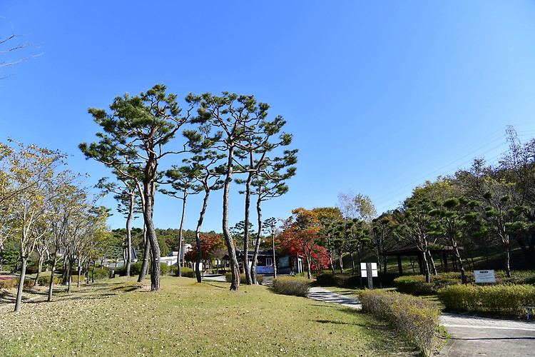 논산 계백장군 유적지(20241107)