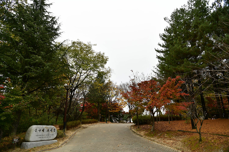 대전 은구비 공원(20231105)