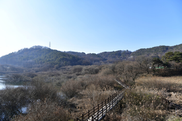 대전 대청호 주산동 전망대(20231202)