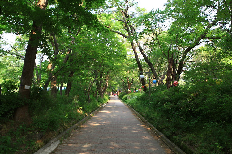 갑사