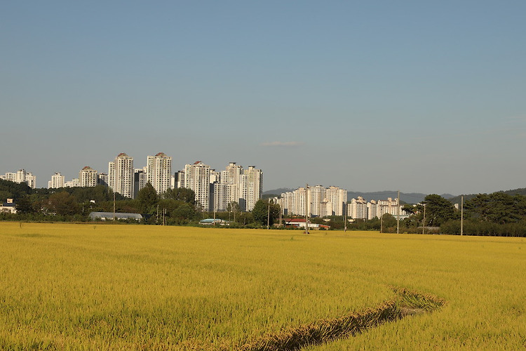 유성구 용계동(20180922)