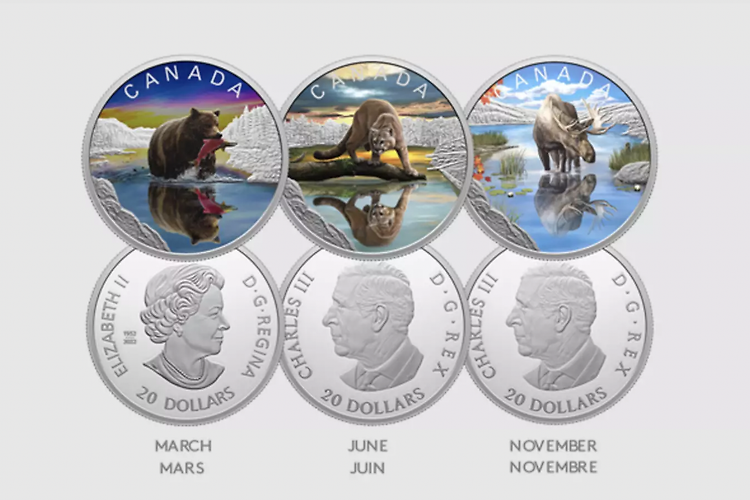 동전으로 만나는 '캐나다 야생동물'