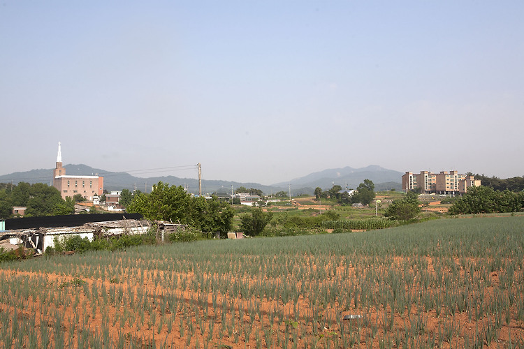 신례원~평택호관광지