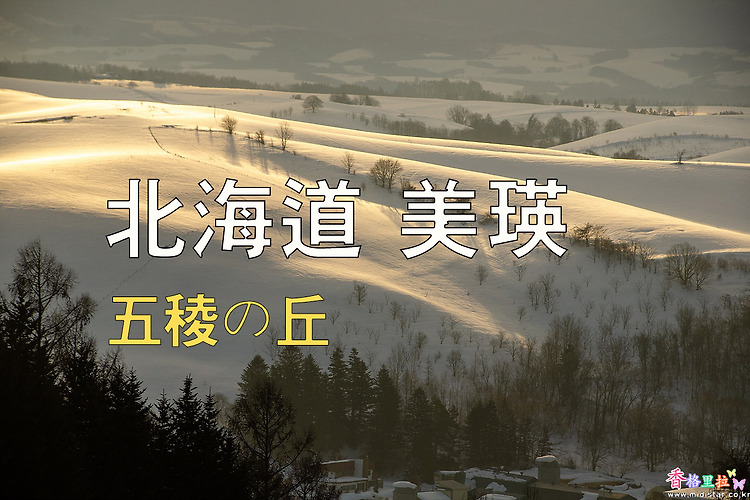 2023년 일본 홋카이도 여행 12 / 비에이(美瑛) 五稜の丘(오릉의 언덕)