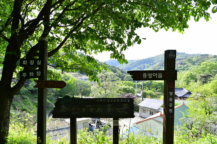 청주 구룡산 장승공원(20240501)