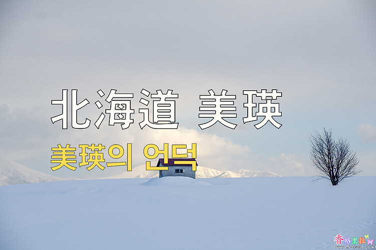 2023년 일본 홋카이도 여행 9 / 비에이(美瑛) 언덕